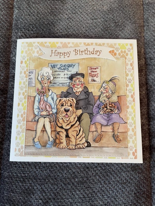 3D handmade birthday card | vets