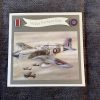 3d handmade fathers card mustang plane